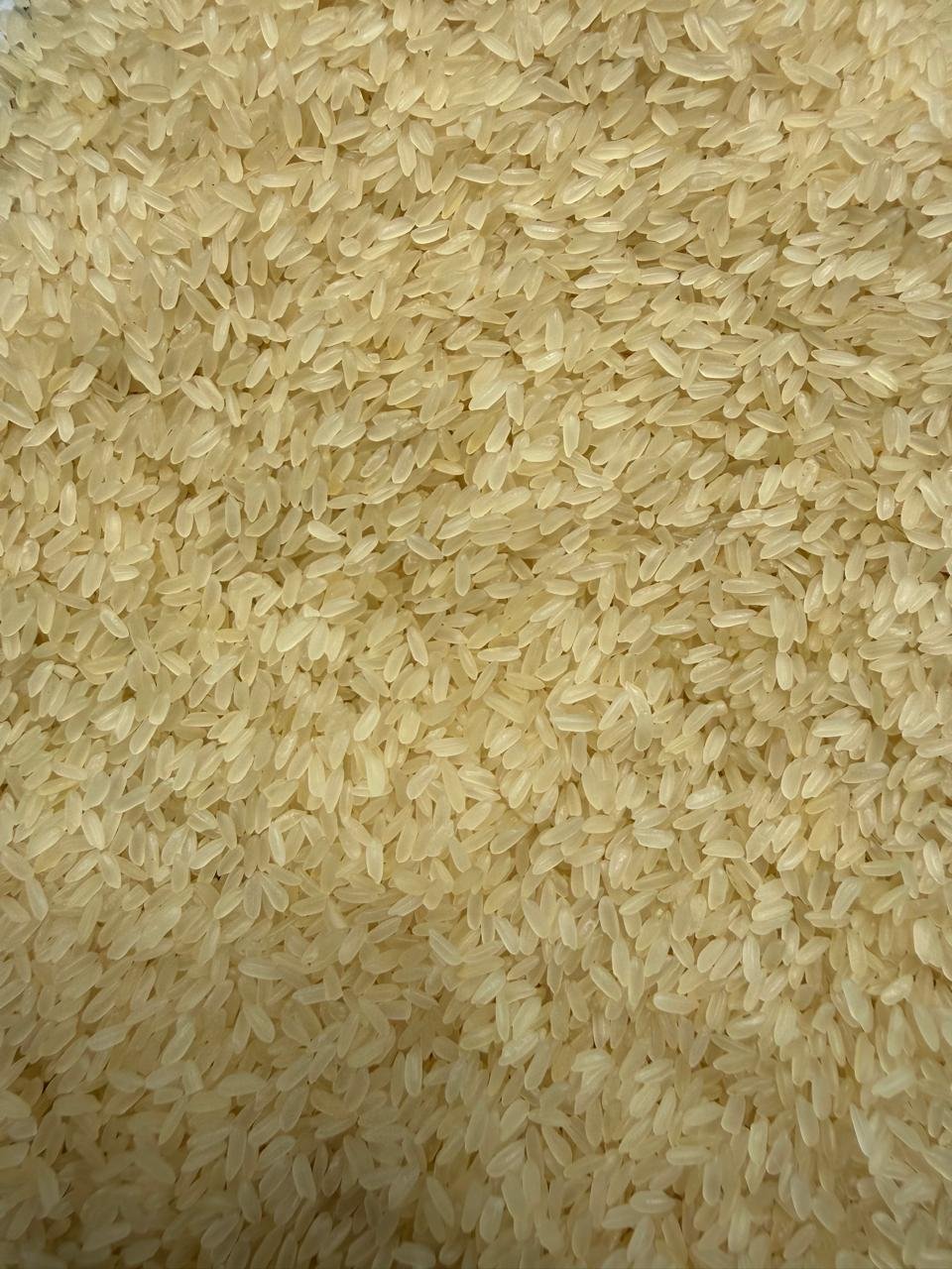 Boiled BPT Rice